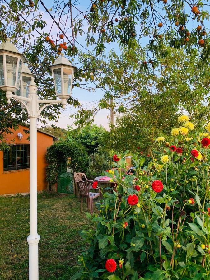 Vivienda Vacacional El Majo Siero Dış mekan fotoğraf