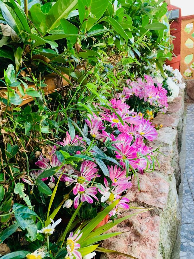 Vivienda Vacacional El Majo Siero Dış mekan fotoğraf