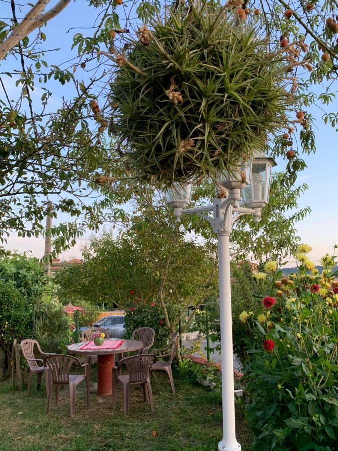 Vivienda Vacacional El Majo Siero Dış mekan fotoğraf